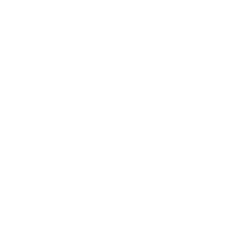 NetFibra